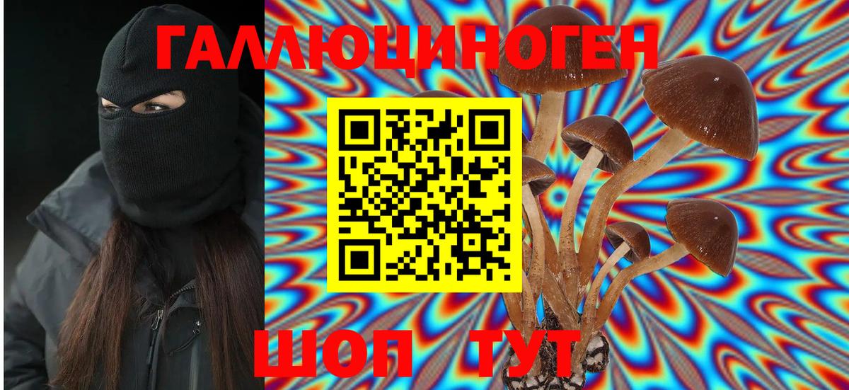 Псилоцибиновые грибы прущие грибы Баксан