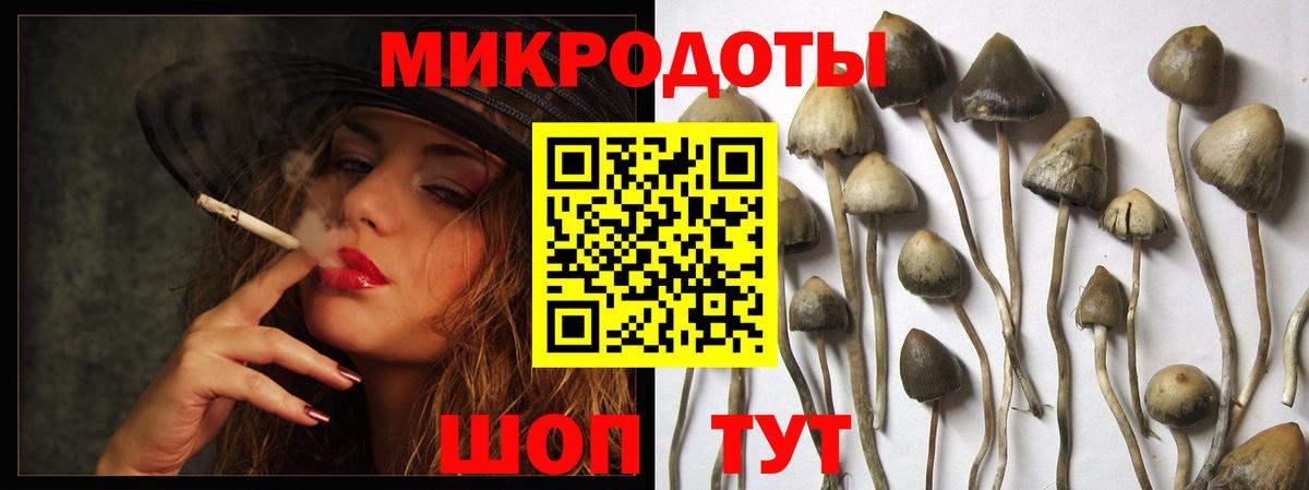 Галлюциногенные грибы прущие грибы  Галлюциногенные грибы прущие грибы  Вход с VPN  как найти закладки  Баксан 